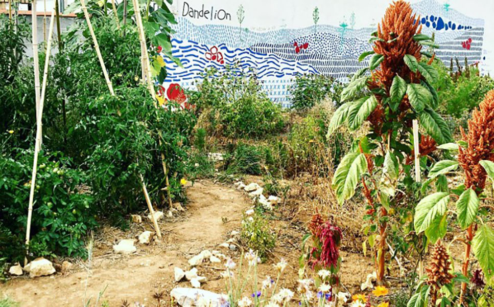 Bongraine Ilot I l'écoquartier de Bongraine - Ilot I