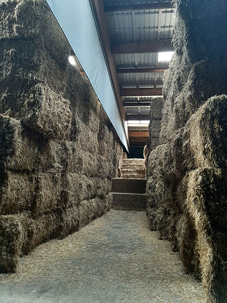 Isolation paille hachée ielo accompagnement isolation paille hachée pour ielo